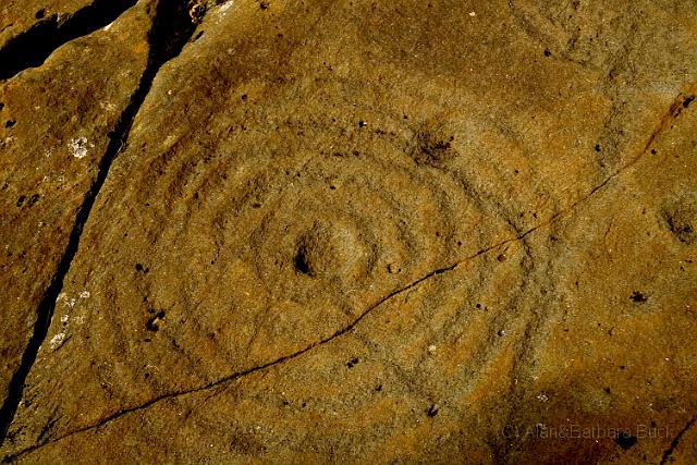 IMGP4673 copy.jpg - Cup and Ring marks from 5000 years ago.